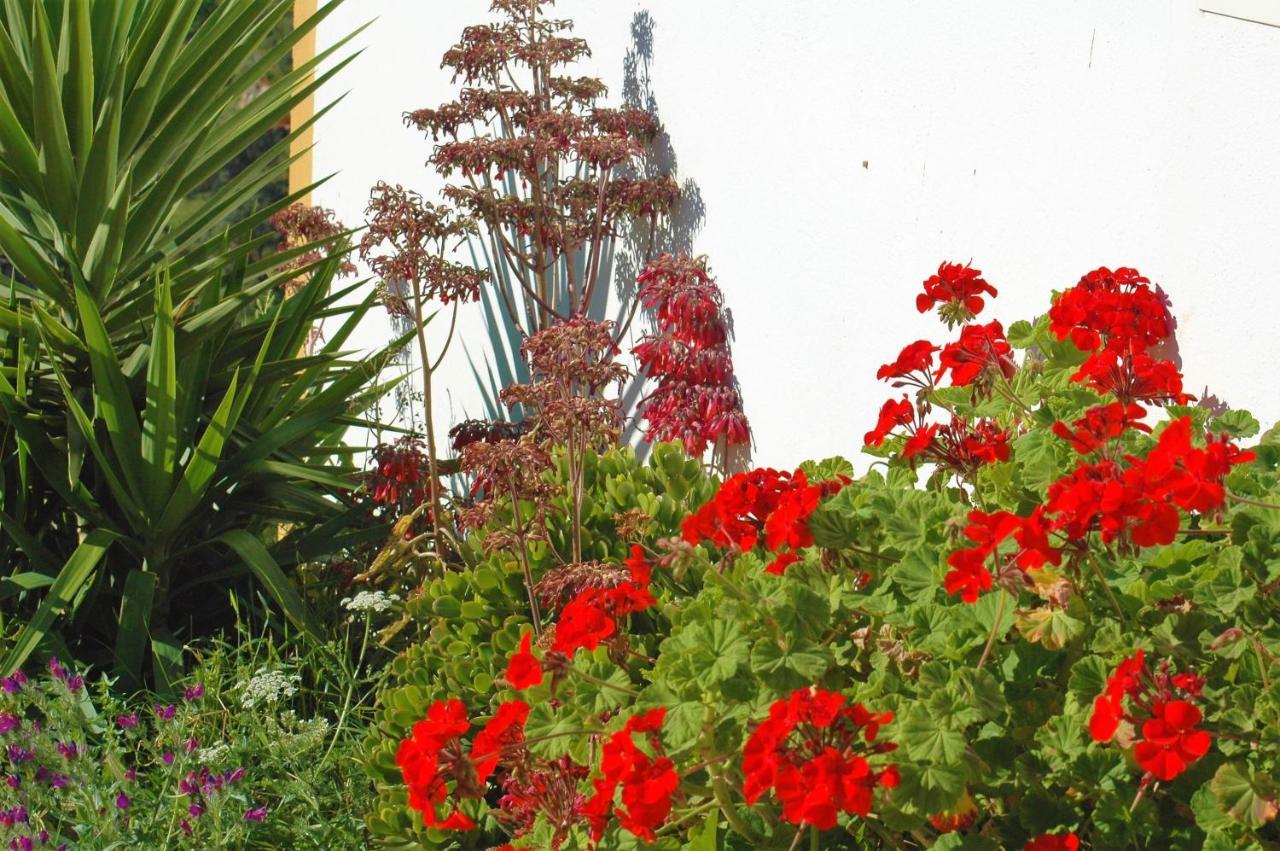 Bed & Breakfast Jingtu Wellness & *
